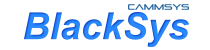 BlavkVue